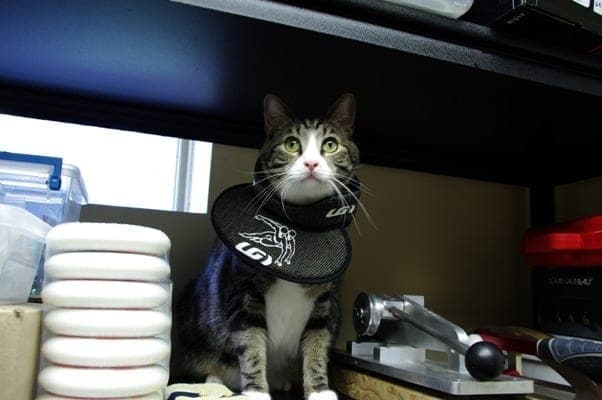 Louis, the store supervisor